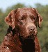 Wizheadshot_2009